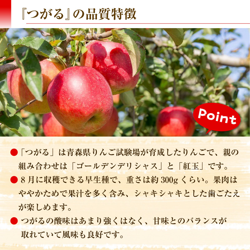 [予約 2023年10月1日-10月20日の納品] つがる 約 5kg 14-16玉 大玉 化粧箱 秋ギフト 津軽 りんご リンゴ ツガル 長野県 青森県