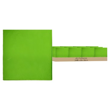 dm Profissimo ALLZWECKTUCHER 多用途抹布  38 x 38cm  24條