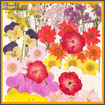 diy材料💖手作diy押花幹花材料包混閤樹葉包親子手作滴膠壓花真花植物標本 輔材 手作材料 手作配件