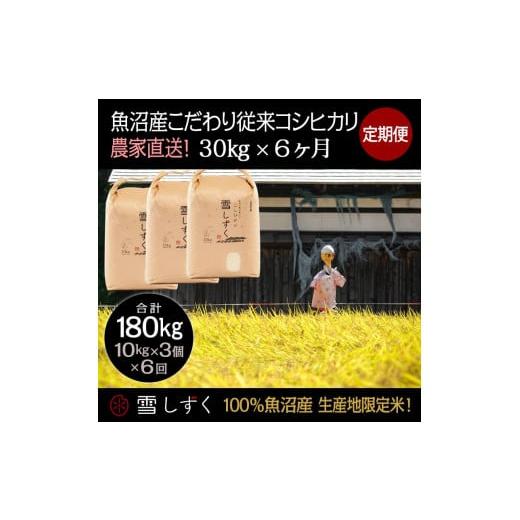 ふるさと納税 新潟県 十日町市 定期便！魚沼産こだわり従来コシヒカリ毎月30kg×6回