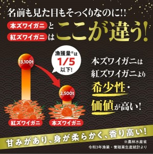 3カ月 定期便 本ズワイガニ 「肩肉」100g×5セット