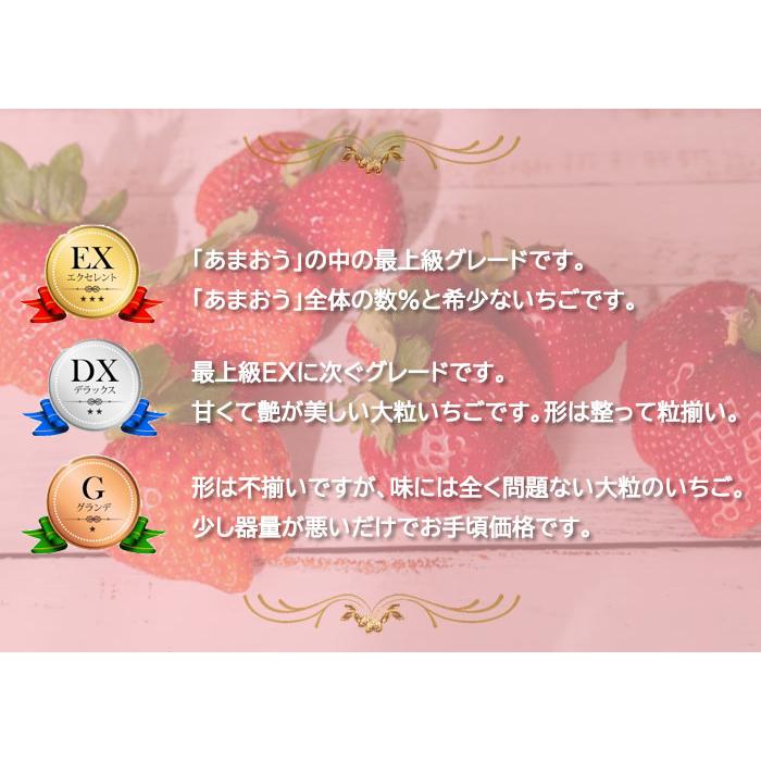 いちご あまおう デラックス ＤＸ 大粒 7〜11粒 300ｇ×2パック 福岡県産 苺 イチゴ ギフト お取り寄せ