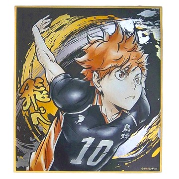 Haikyu 排球少年!! 激鬥!!閃亮色紙 日向翔陽  1色  1張