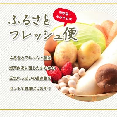 ふるさと納税 笠岡市 ふるさとフレッシュ便(旬野菜・ふるさと米)