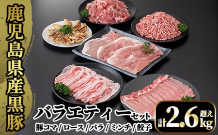 A8-012 国産！鹿児島県産黒豚バラエティーセット計2.6kg超え(小間切れ250g×4P・ロース300g・バラ300g・ミンチ500g・モモ500g・餃子10個入)