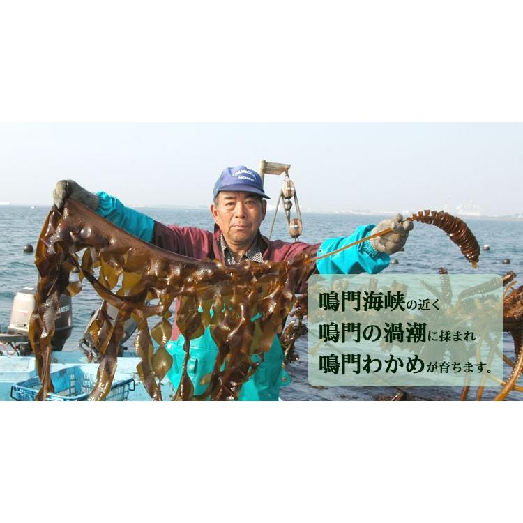 鳴門わかめ 湯通し塩蔵わかめ300g  JF徳島漁連 冷蔵便