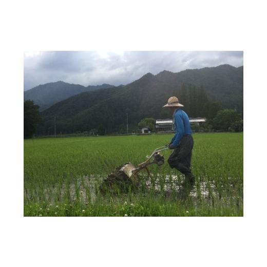 ふるさと納税 長野県 松川村 自然栽培　天日干し　亀の尾　玄米3kg