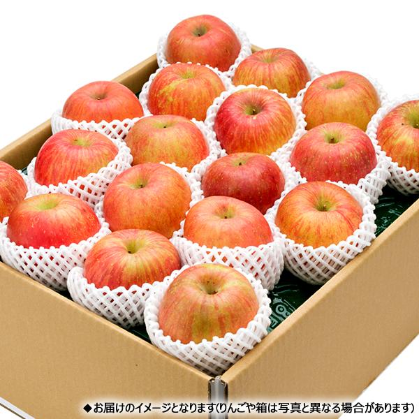 お歳暮 山形県産 りんご 葉とらずふじ 10kg (秀品 26玉〜40玉入り) リンゴ 冬ギフト ギフト 贈り物 贈答 高級 果物 フルーツ 送料無料 お取り寄せ