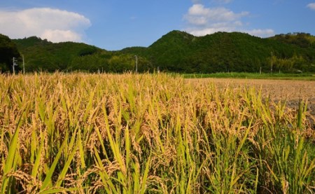 三木食品の宿毛産かおり米入りヒノヒカリ5kg