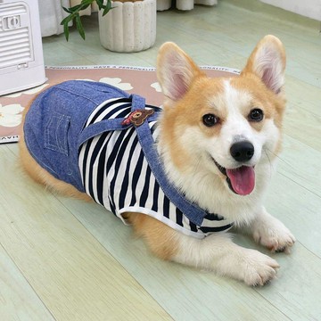 寵物狗衣服夏裝薄款夏季春夏款貓咪小型犬中型犬柯基泰迪2024...