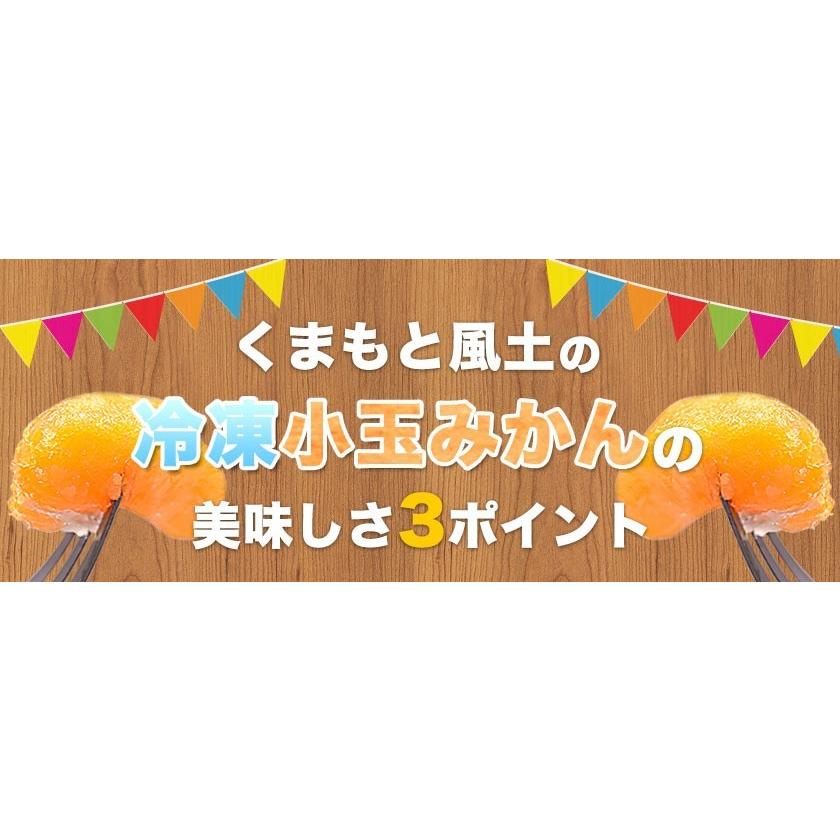 セット購入でおまけ付き 冷凍 小玉 みかん 皮付き 熊本県産 1.5kg 500g×3袋 送料無料 フルーツ シャーベット アイス 7-14営業以内発送予定(土日祝除く)