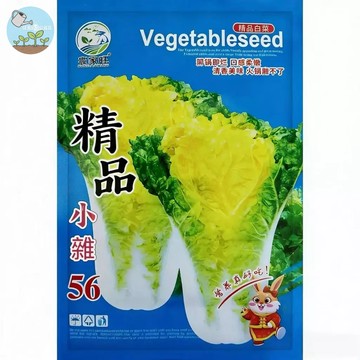 【原廠包裝】正宗精品小雜56種子（Beijing Xiaza 56）3克裝 包心白菜/小白菜/小松菜 快速採收30天