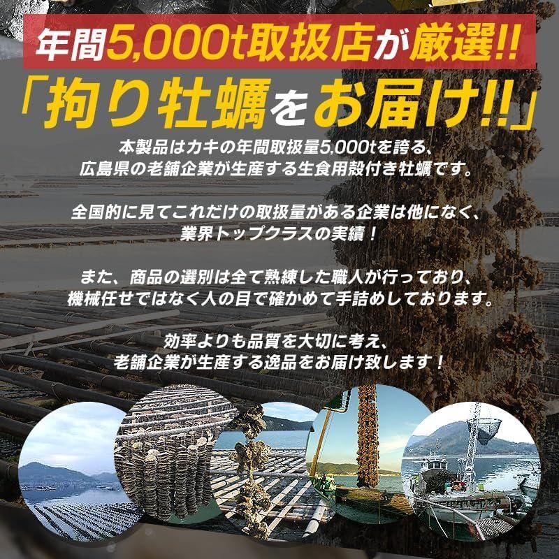 カキ かき 牡蠣 生食用 殻付き 12個 冷凍 兵庫県室津産 冷凍殻付き牡蠣