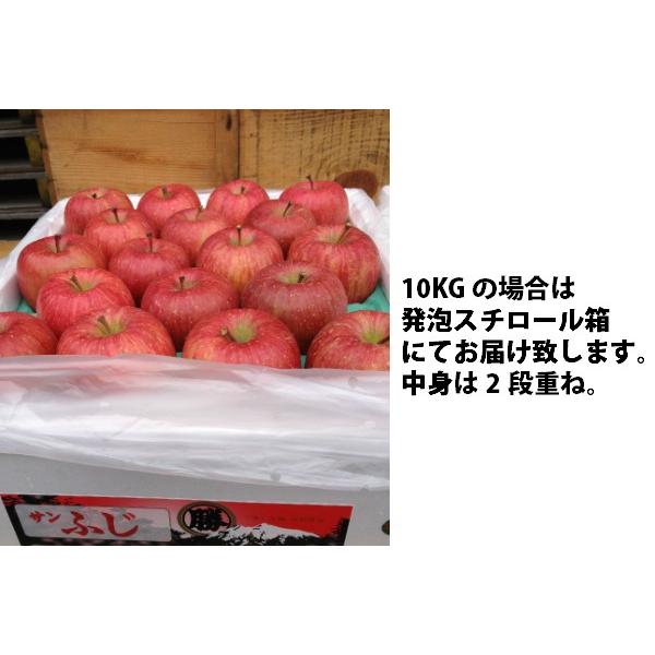 りんご10kg／台湾向け宅配／青森県産サンふじ10kg／12月下旬配送・送料無料・代引不可