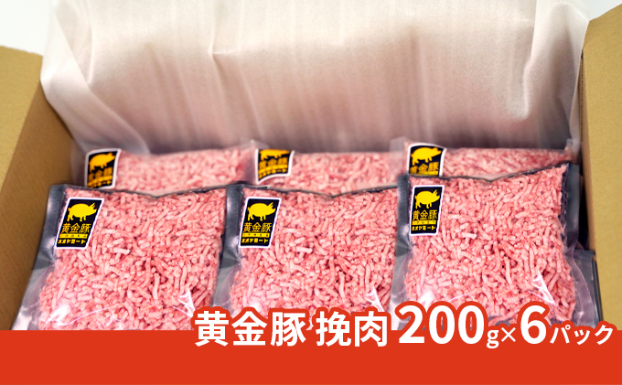 北海道 豚ひき肉 普通挽き あら挽き 200g 6パック 計1.2kg 伊達産 黄金豚 三元豚 ミンチ 挽肉 お肉 小分け ハンバーグ 餃子 カレー 大矢 オオヤミート 冷凍 送料無料