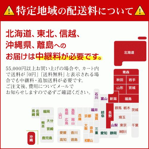 送料無料 ホワイトボード 脚付月予定表 両面回転式　1200×900 スタンドタイプ (ボード外寸1210×920) ホーロー AX34TDSN