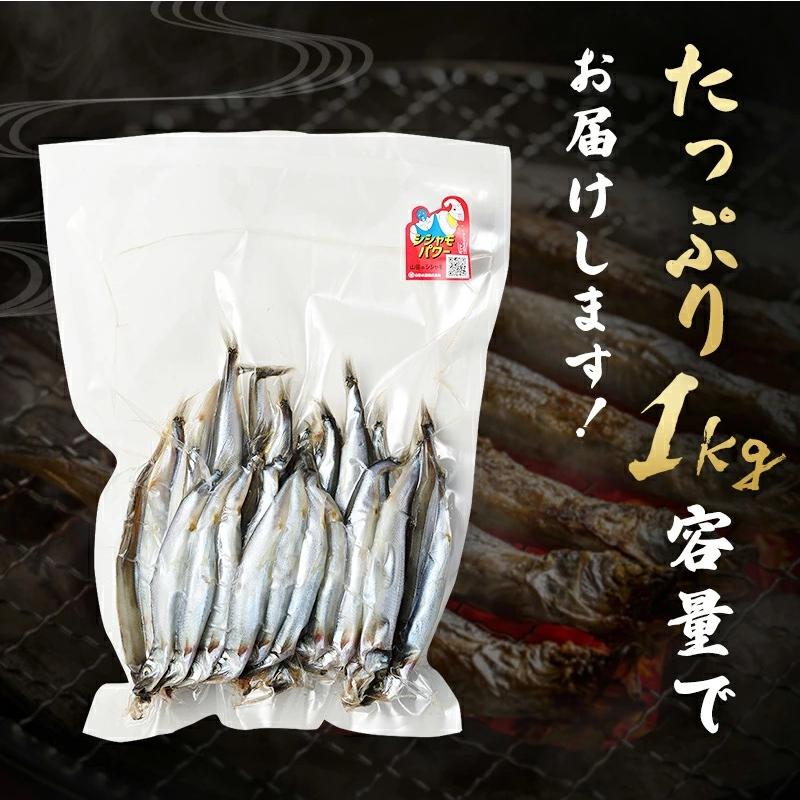 ししゃも 子持ち 干物 からふとししゃも 1kg(500g×2パック) 卵率15%以上 アイスランド産