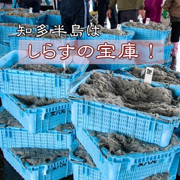 送料無料 しらす (ちりめん) １kg (愛知県産)