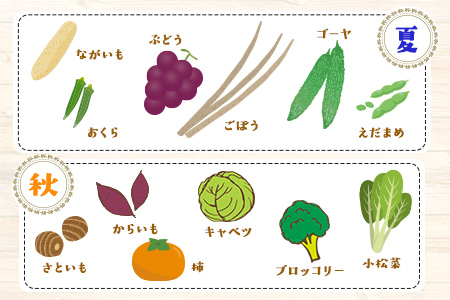 3ヶ月定期便 旬の新鮮野菜・果物詰合せセット (計3回お届け)たっぷり8-12品目 熊本県氷川町産 道の駅竜北《お申込み月の翌月から出荷開始》---sh_cmitiysiatei_21_50000_mo3num1---