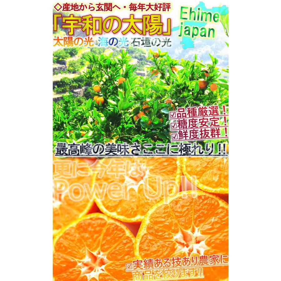 宇和の太陽 温州みかん 約5kg 愛媛県産 小玉限定 S〜3Sサイズ 柑橘 えひめ蜜柑 3つの太陽 愛の溢れる完熟ミカン