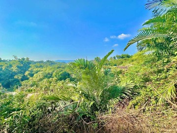 燕巢★近金山國小 養女湖3.9分林業用地15480｜高雄市燕巢區金山段