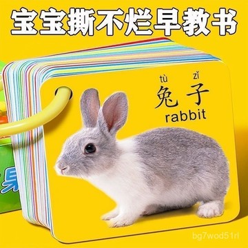 爆款 ⭐臺灣出貨-全新保真⭐動物卡片早敎認知啟懞書正品保真一嵗正品保真益智玩具正品保真幼識字看圖識物