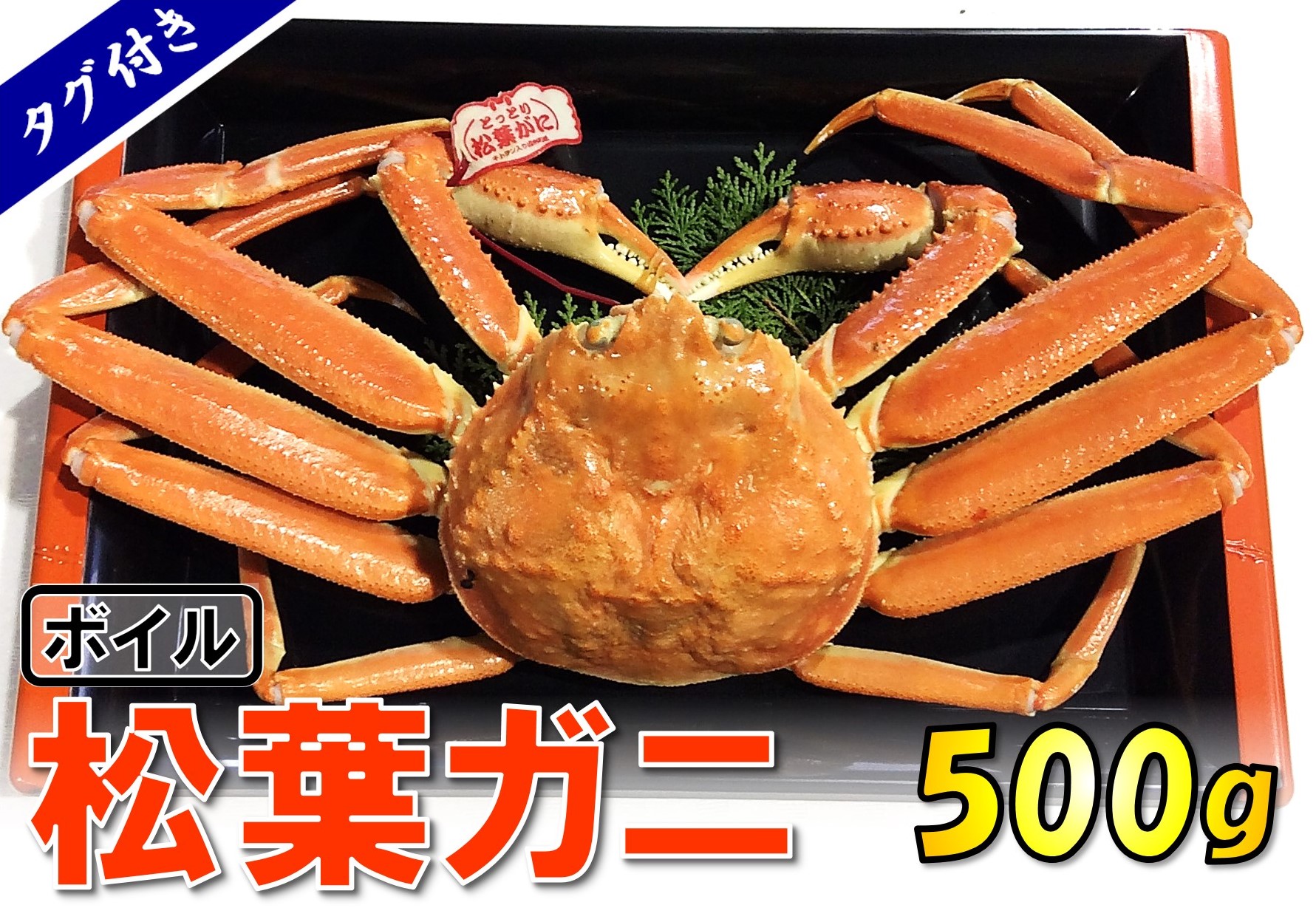 1138 タグ付きボイル松葉ガニ(並５００ｇ)