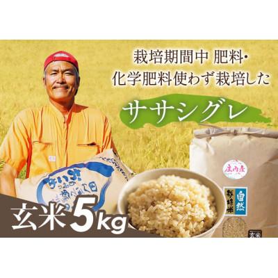 ふるさと納税 山形県 山形県庄内産 栽培期間中肥料・化学肥料不使用で栽培した ササシグレ玄米5kg