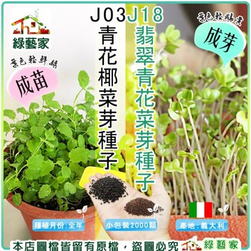 【綠藝家】J03.青花菜芽種子//J18.翡翠青花芽菜種子-小包裝 (青花椰菜芽、青花椰苗、芽菜種子)