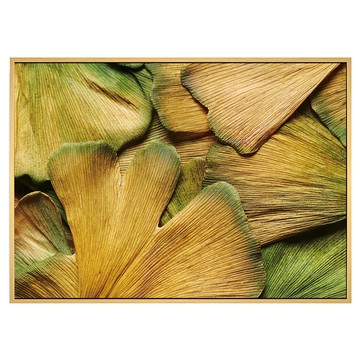 菠蘿選畫所 掛畫 金燦燦銀杏葉 BFLE4629D (59.4 x 42cm 木色)