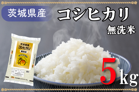 AL007　無洗米！茨城県産コシヒカリ５ｋｇ！令和5年産米！