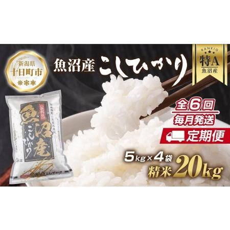 ふるさと納税 新潟県 魚沼産 コシヒカリ お米 20kg×計6回 精米済み 半年間 毎月発送 こしひかり（お米の美味しい炊き方ガイド.. 新潟県十日町市