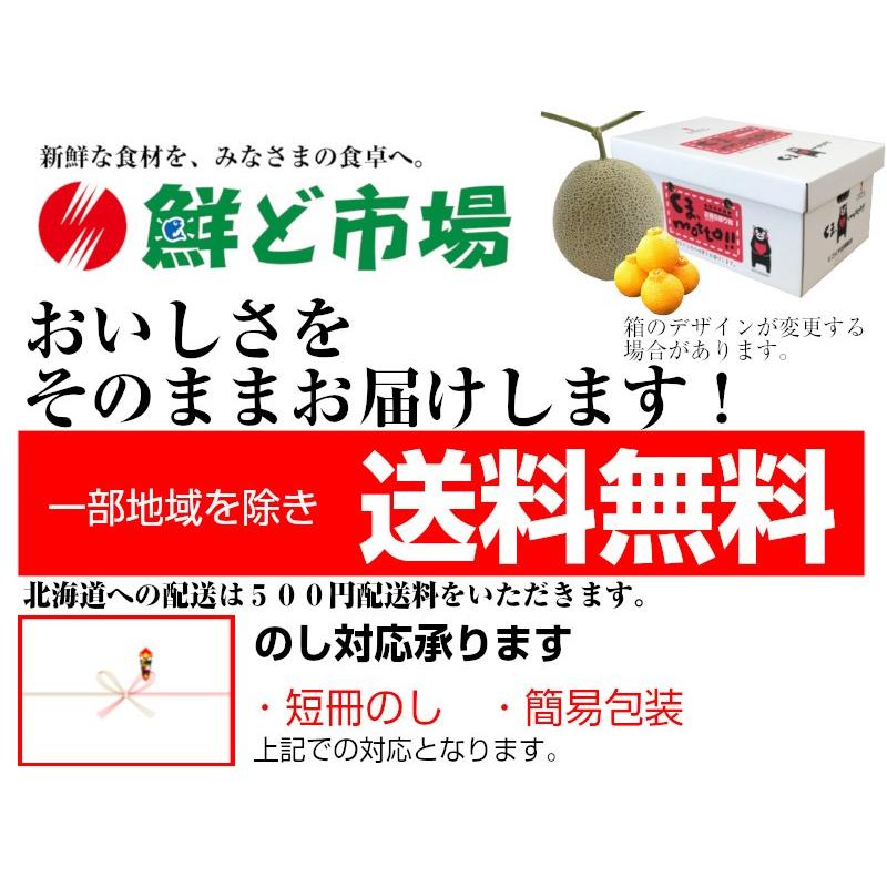 熊本特産詰め合せ果物２点セット1 アールスメロン・デコポン 送料無料 果物ギフト ギフト・ご贈答用 果物詰め合わせギフト