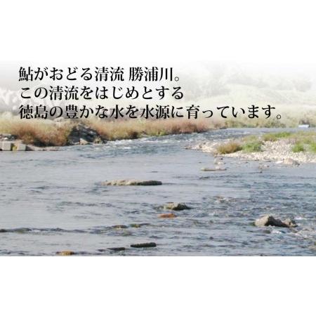 ふるさと納税 鮎の一夜干し 8尾 徳島県勝浦町