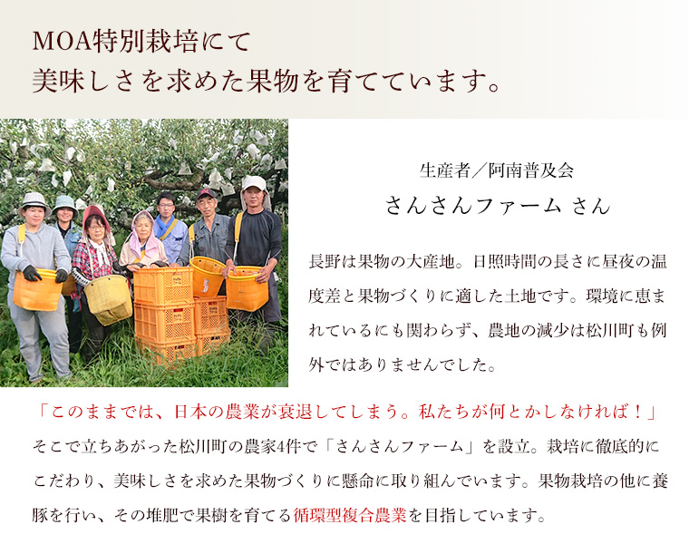 長野県産　洋梨　ルレクチェ３ｋｇ無化学肥料・農薬５割減・特別栽培洋ナシ