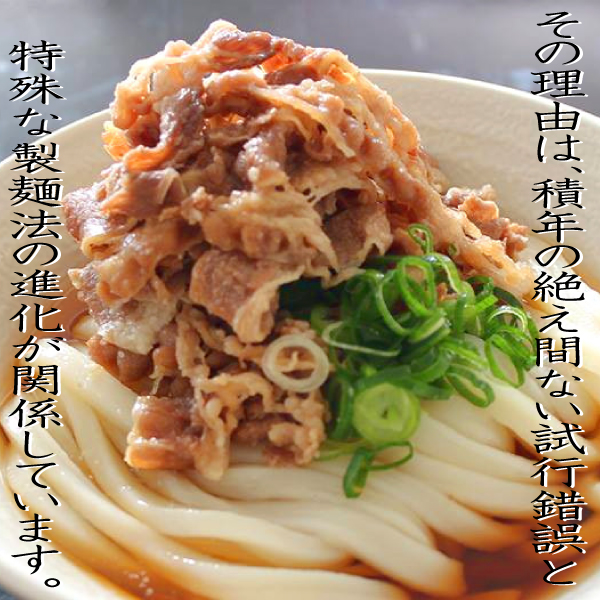 石丸製麺 半生讃岐うどん包丁切り つゆ付 260g×6個