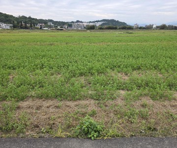 {專任}芎林金獅段千坪黃金農牧用地首選｜新竹縣芎林鄉金獅段