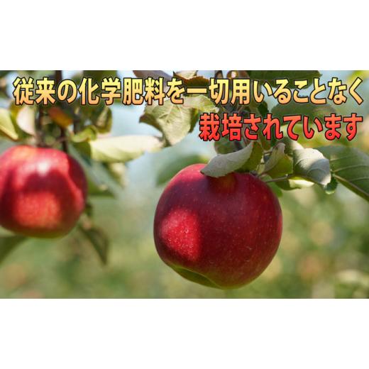 ふるさと納税 青森県 弘前市 1月発送 贈答規格 EMサンふじ約3kg 糖度13度以上