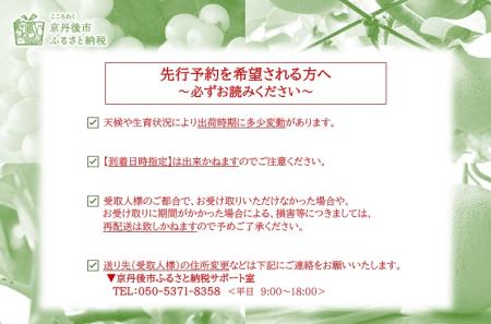 新興梨（訳あり） 5kg （7～12玉）（2024年10月上旬～発送）