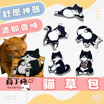 (多種造型❤️) 薛丁格 貓草包 踢踢包 貓薄荷玩具 貓玩具 貓抱枕 貓草玩具 逗貓玩具 寵物玩具 高雄寵物店