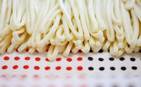 純手打ち 冷凍うどん 10人前 (冷凍うどん・かけうどんダシ・天かす付)