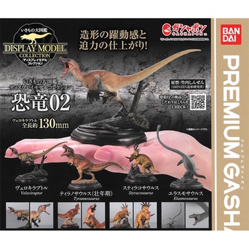 全套4款 日本正版 生物大圖鑑 展示模型 恐龍 P2 扭蛋 轉蛋 迅猛龍 暴龍 刺盾角龍 薄板龍 恐龍模型 動物模型 BANDAI 萬代 - 681196