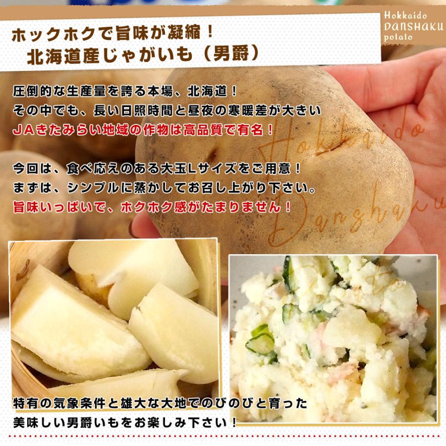 厳選ブランド産地！じゃがいも×玉ねぎ2箱セット（北海道産 男爵いも×玉ねぎ　Lサイズ各3キロ）送料無料　ジャガイモ　玉葱　馬鈴薯　きたみらい　市場発送