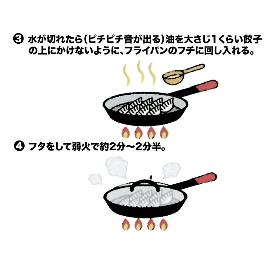 宇都宮餃子会加盟店 宇都宮ねぎにら餃子＆日光しもつかれ餃子 2種 2箱セット 44個入 FN046