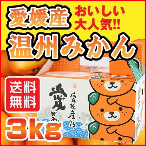 温州 みかん 3kg 愛媛県産 規格外 訳あり 安い 自宅用 (M2)