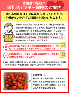 令和6年産 さくらんぼ紅秀峰 ２L 1kg以上(500gバラ詰め×2パック)