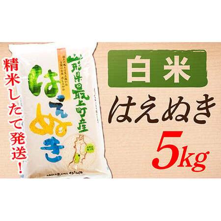 ふるさと納税 山形県産はえぬき5kg 山形県最上町