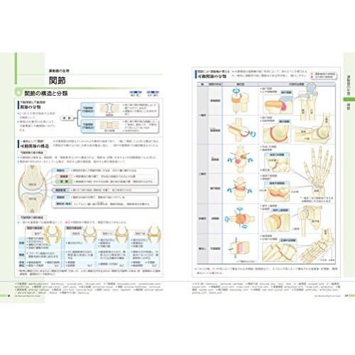 病気がみえるvol.11 運動器・整形外科