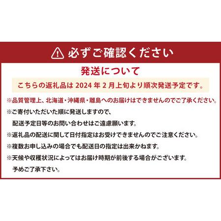 ふるさと納税 大粒あまおう 約280g×4パック 福岡県遠賀町