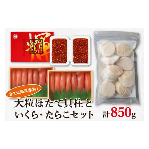 ふるさと納税 北海道 鹿部町 大粒ほたて貝柱250g×1 いくらしょうゆ漬け100g×2 噴火湾産たらこ200g×2 丸鮮道場水産 小分け 食べ切り 食べきり 北海道